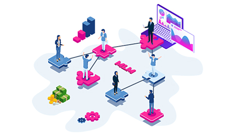 MLM Software