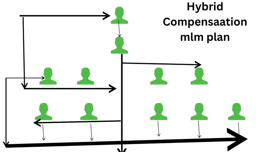 Hybrid MLM Plan